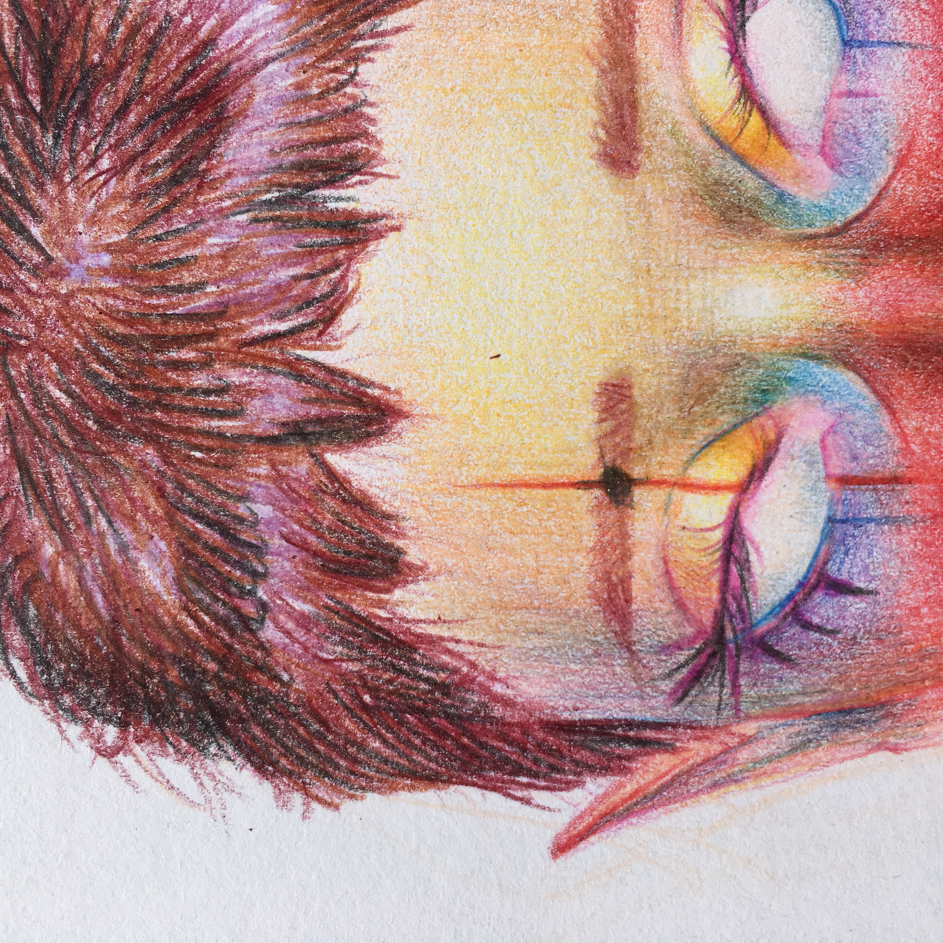 Portrait of Marissa Bohk